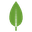 MongoDb